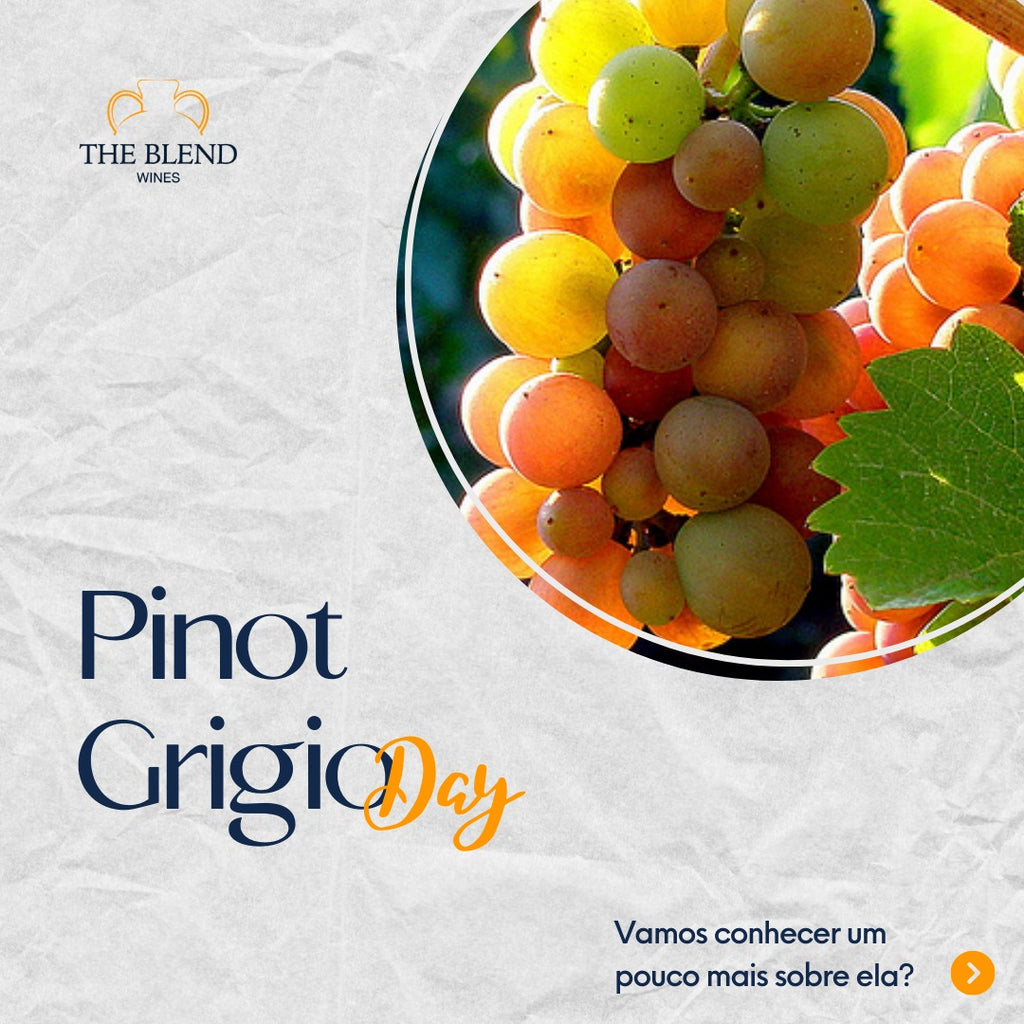 PINOT GRIGIO - 17 DE MAIO
