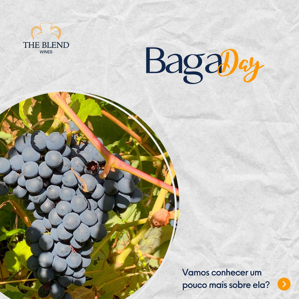 BAGA - 20 DE MAIO