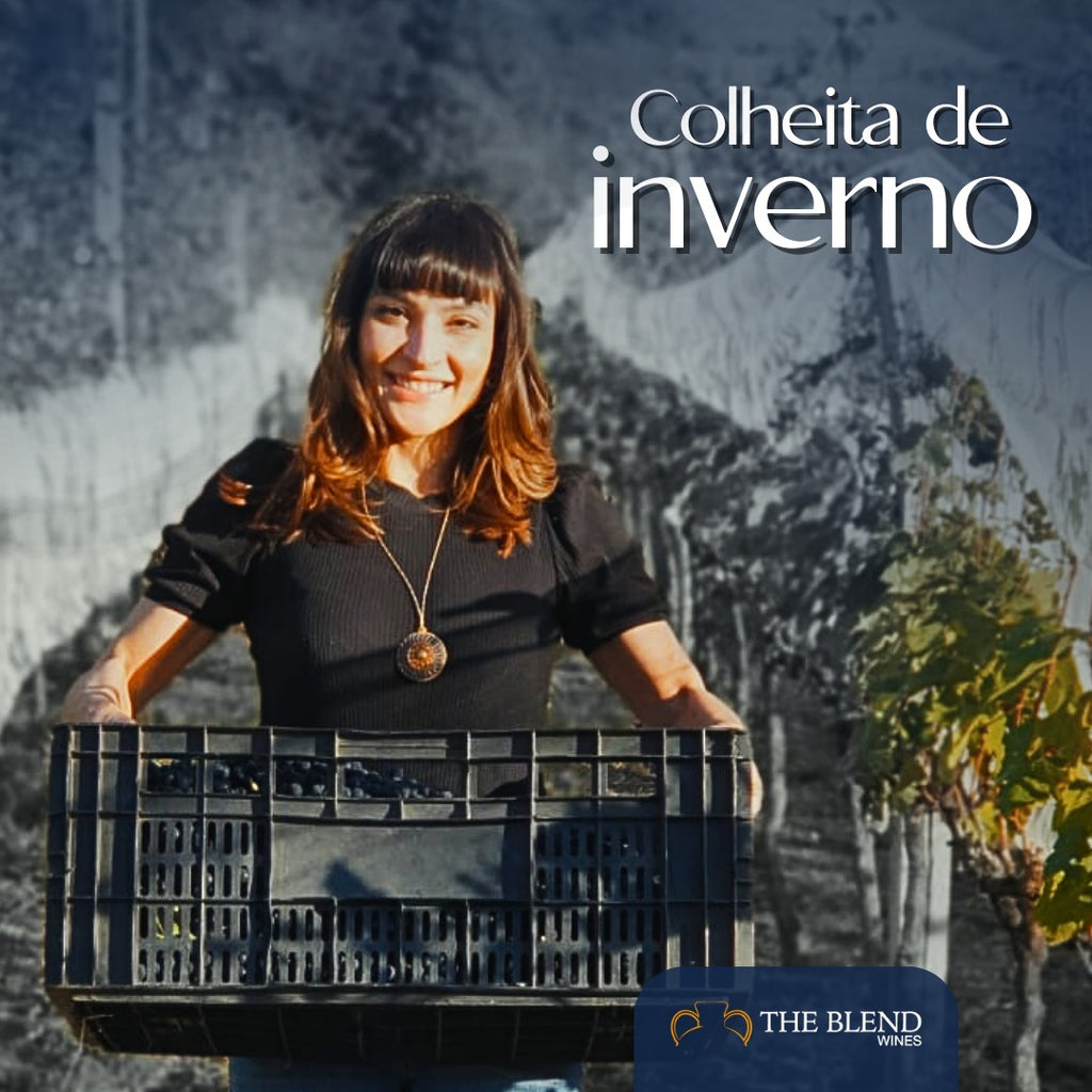 COLHEITA DE INVERNO