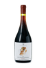 Vanessa Medin - Instinto Selvagem Gamay 2020 - The Blend Wines
